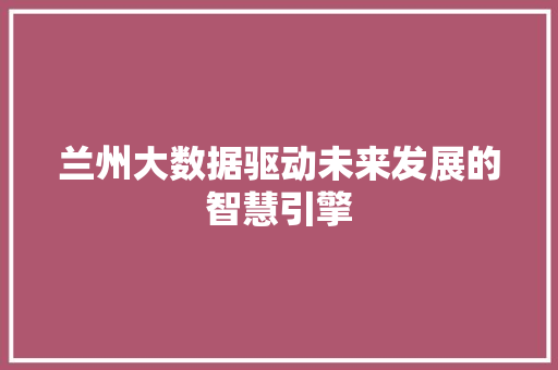 兰州大数据驱动未来发展的智慧引擎