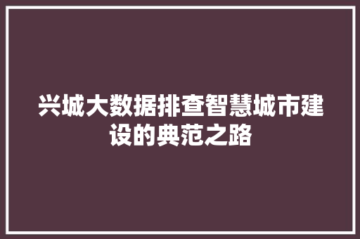 兴城大数据排查智慧城市建设的典范之路