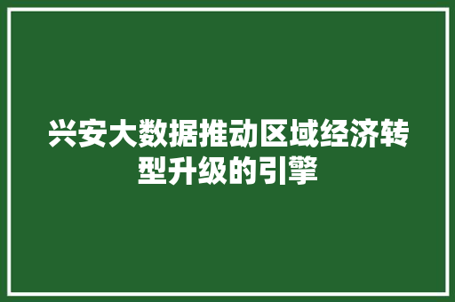 兴安大数据推动区域经济转型升级的引擎