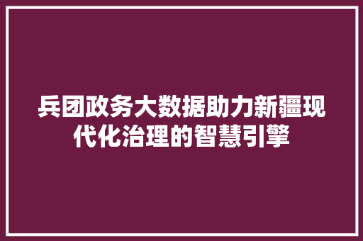 兵团政务大数据助力新疆现代化治理的智慧引擎