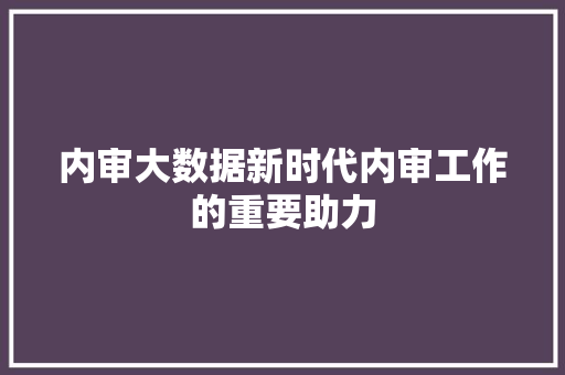 内审大数据新时代内审工作的重要助力
