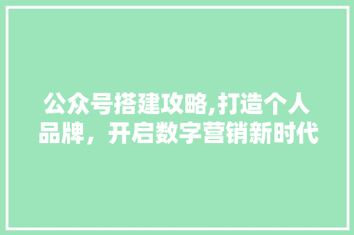 公众号搭建攻略,打造个人品牌，开启数字营销新时代