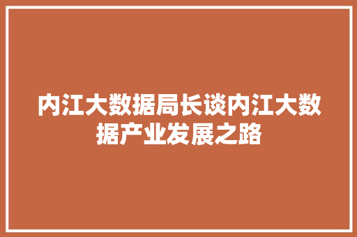 内江大数据局长谈内江大数据产业发展之路