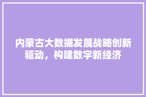 内蒙古大数据发展战略创新驱动，构建数字新经济