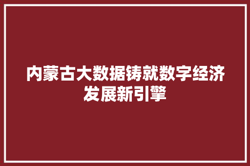 内蒙古大数据铸就数字经济发展新引擎