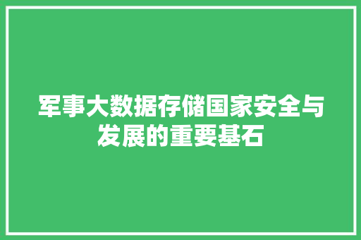 军事大数据存储国家安全与发展的重要基石