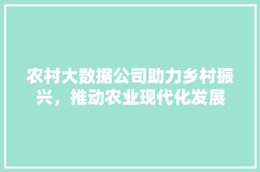 农村大数据公司助力乡村振兴，推动农业现代化发展