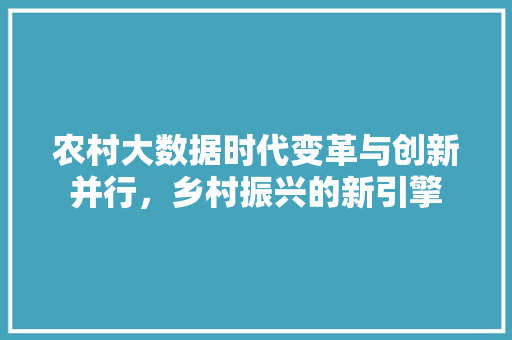 农村大数据时代变革与创新并行，乡村振兴的新引擎
