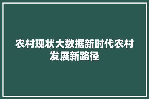 农村现状大数据新时代农村发展新路径