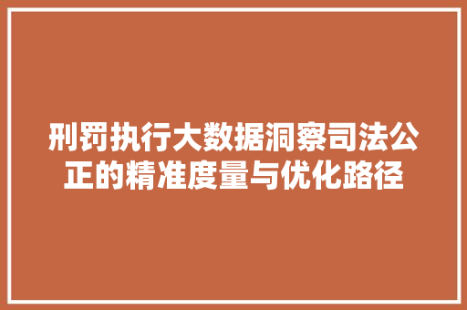 刑罚执行大数据洞察司法公正的精准度量与优化路径