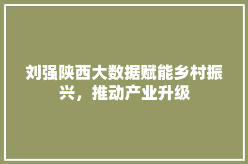 刘强陕西大数据赋能乡村振兴，推动产业升级