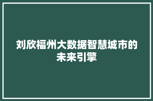 刘欣福州大数据智慧城市的未来引擎