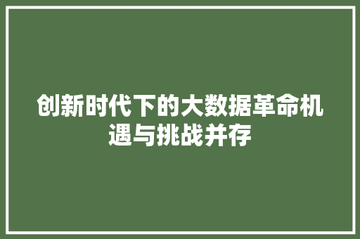 创新时代下的大数据革命机遇与挑战并存