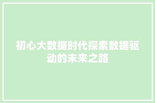 初心大数据时代探索数据驱动的未来之路