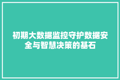 初期大数据监控守护数据安全与智慧决策的基石