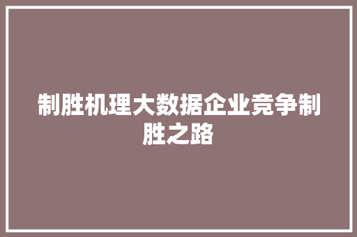 制胜机理大数据企业竞争制胜之路