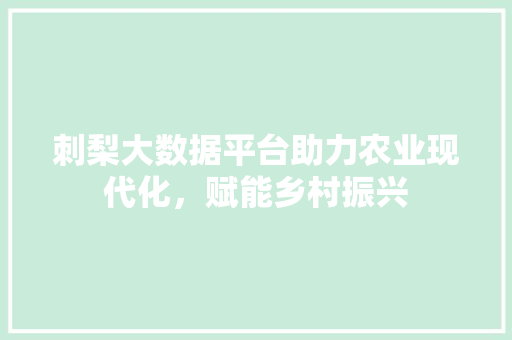 刺梨大数据平台助力农业现代化，赋能乡村振兴
