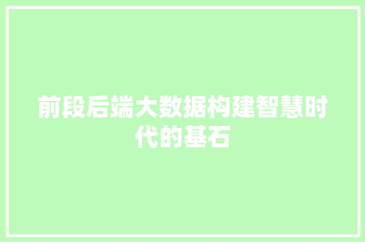 前段后端大数据构建智慧时代的基石