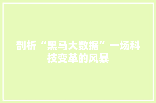 剖析“黑马大数据”一场科技变革的风暴