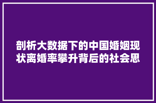 剖析大数据下的中国婚姻现状离婚率攀升背后的社会思考