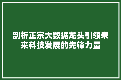 剖析正宗大数据龙头引领未来科技发展的先锋力量