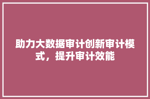 助力大数据审计创新审计模式，提升审计效能