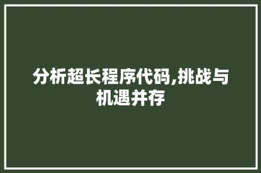 分析超长程序代码,挑战与机遇并存