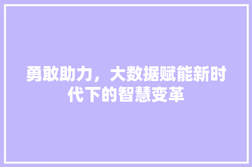 勇敢助力，大数据赋能新时代下的智慧变革