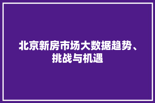 北京新房市场大数据趋势、挑战与机遇