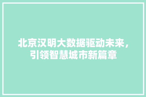 北京汉明大数据驱动未来，引领智慧城市新篇章