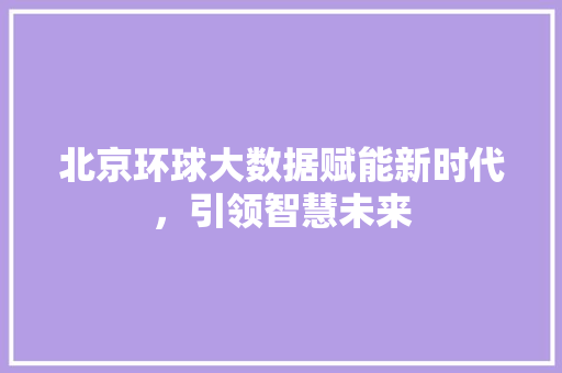 北京环球大数据赋能新时代，引领智慧未来