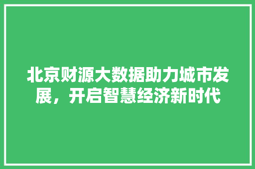 北京财源大数据助力城市发展，开启智慧经济新时代