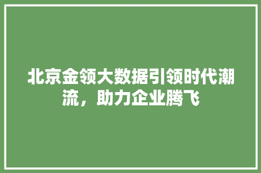 北京金领大数据引领时代潮流，助力企业腾飞
