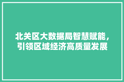 北关区大数据局智慧赋能，引领区域经济高质量发展