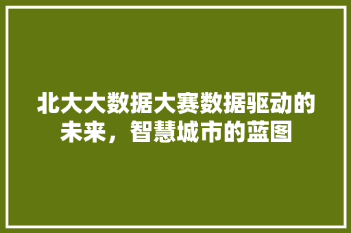 北大大数据大赛数据驱动的未来，智慧城市的蓝图