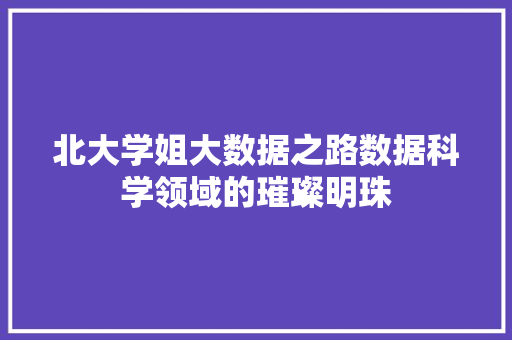北大学姐大数据之路数据科学领域的璀璨明珠