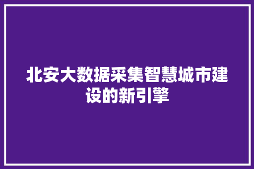北安大数据采集智慧城市建设的新引擎
