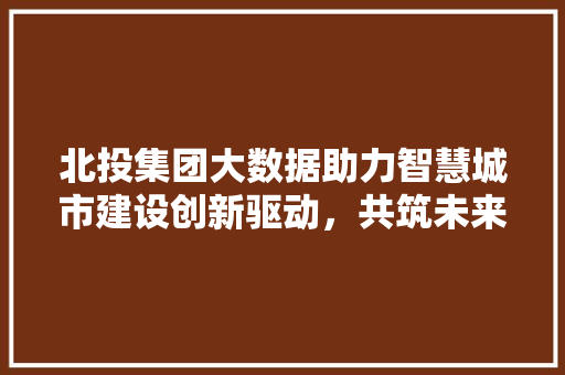 北投集团大数据助力智慧城市建设创新驱动，共筑未来