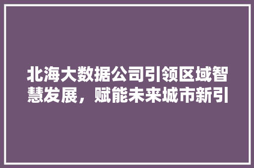 北海大数据公司引领区域智慧发展，赋能未来城市新引擎