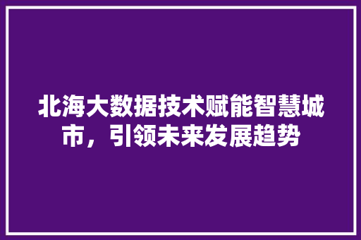 北海大数据技术赋能智慧城市，引领未来发展趋势