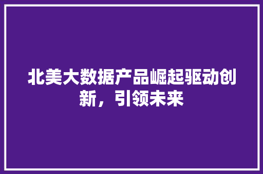北美大数据产品崛起驱动创新，引领未来