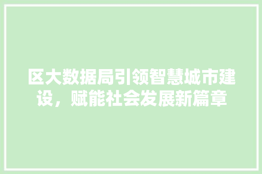 区大数据局引领智慧城市建设，赋能社会发展新篇章