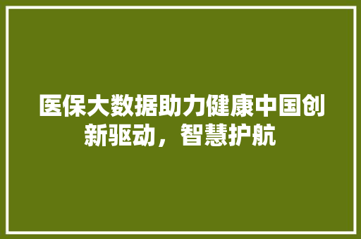 医保大数据助力健康中国创新驱动，智慧护航