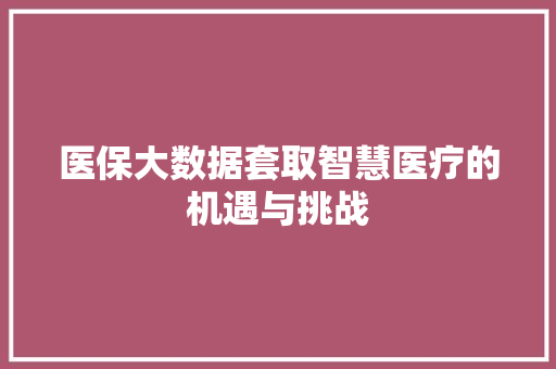 医保大数据套取智慧医疗的机遇与挑战