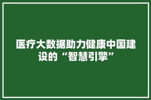 医疗大数据助力健康中国建设的“智慧引擎”