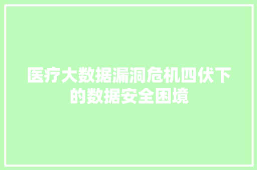 医疗大数据漏洞危机四伏下的数据安全困境