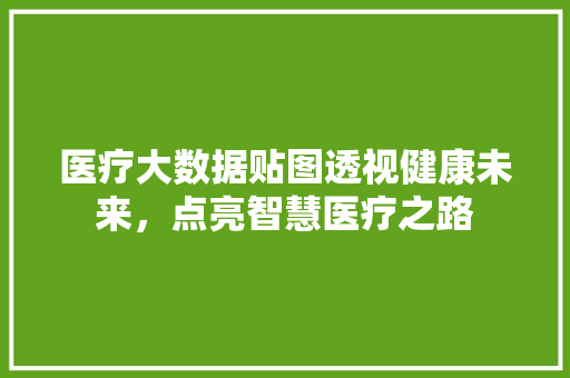 医疗大数据贴图透视健康未来，点亮智慧医疗之路