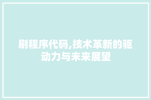 刷程序代码,技术革新的驱动力与未来展望