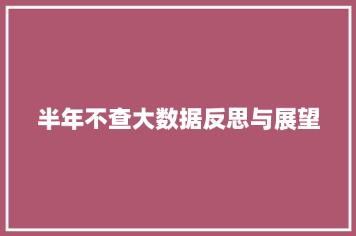 半年不查大数据反思与展望