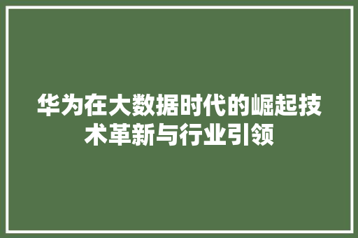 华为在大数据时代的崛起技术革新与行业引领